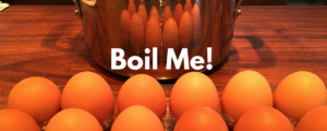 Read more about the article ”Mom, how do you boil an egg?” she asked.